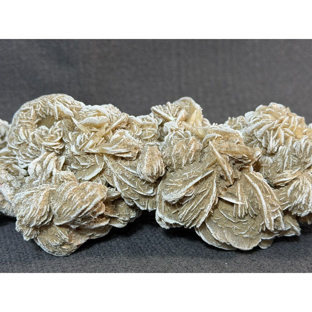 LARGE NINE 9 INCH DESERT ROSE SELENITE CRYSTAL CLUSTER Specimen Display